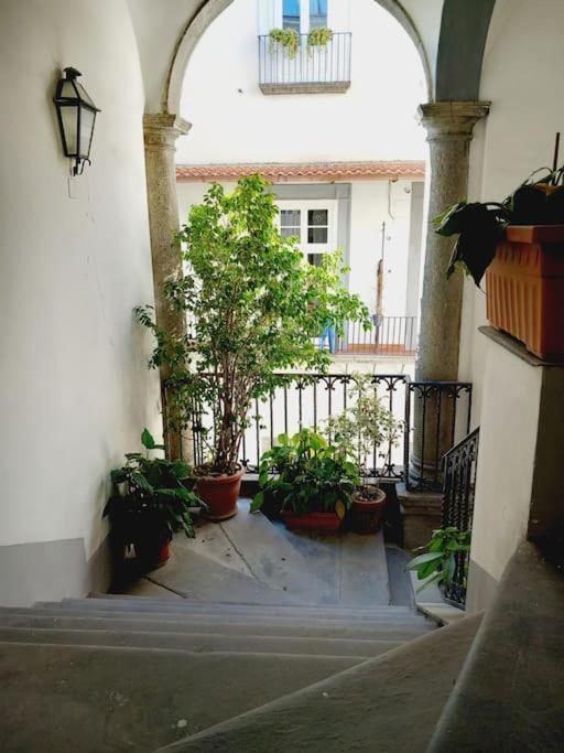 Nilo 28 House Apartment Naples Exterior photo